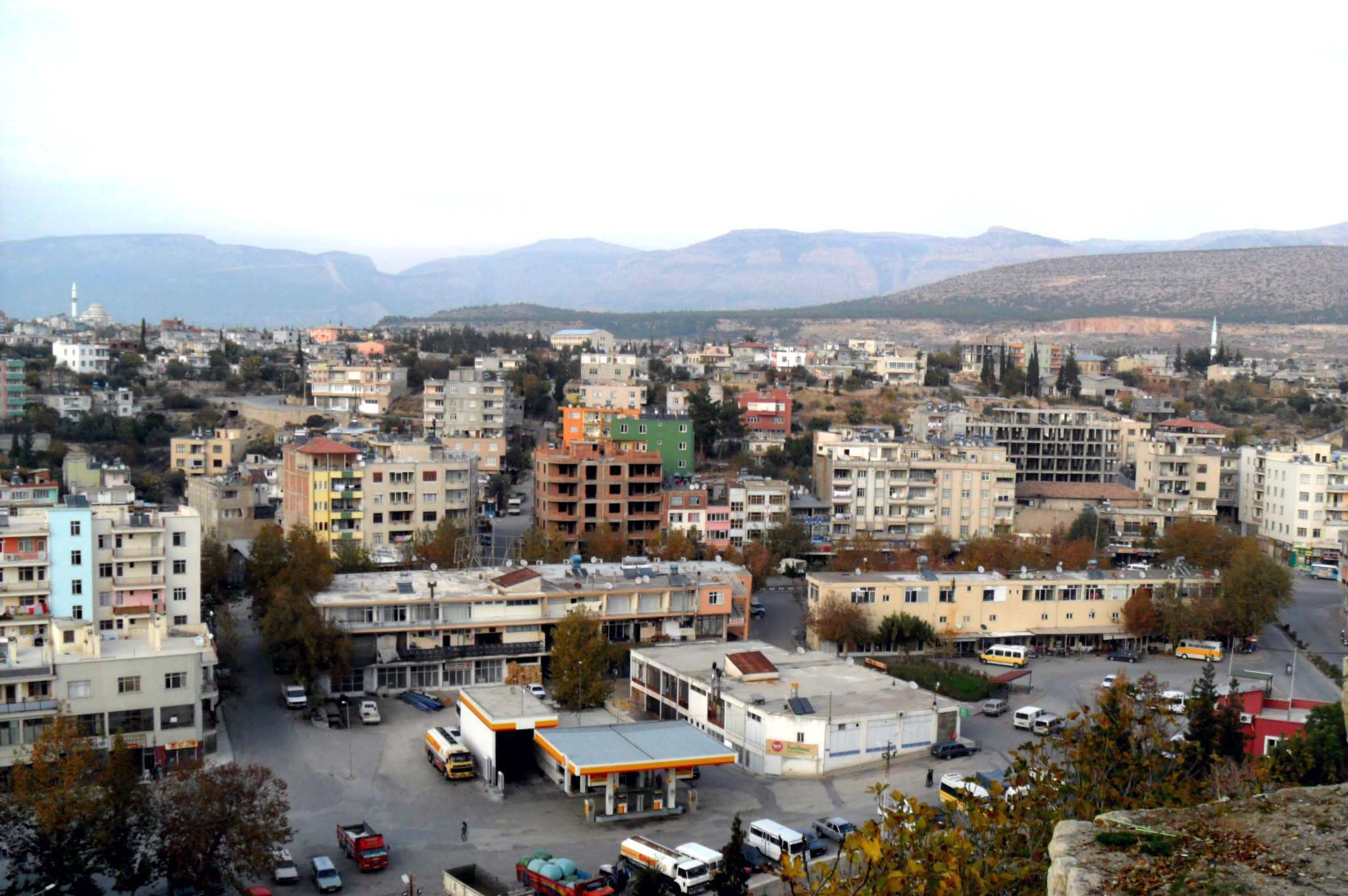 Mut Web Tasarım Hizmetleri